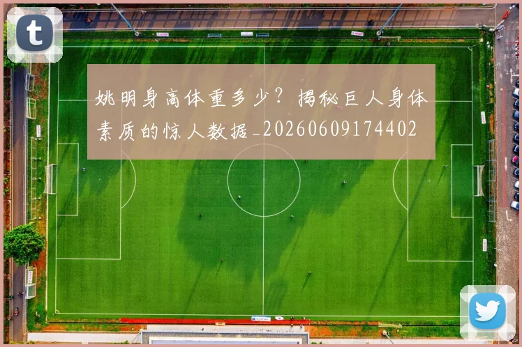 姚明身高体重多少？揭秘巨人身体素质的惊人数据_20260609174402